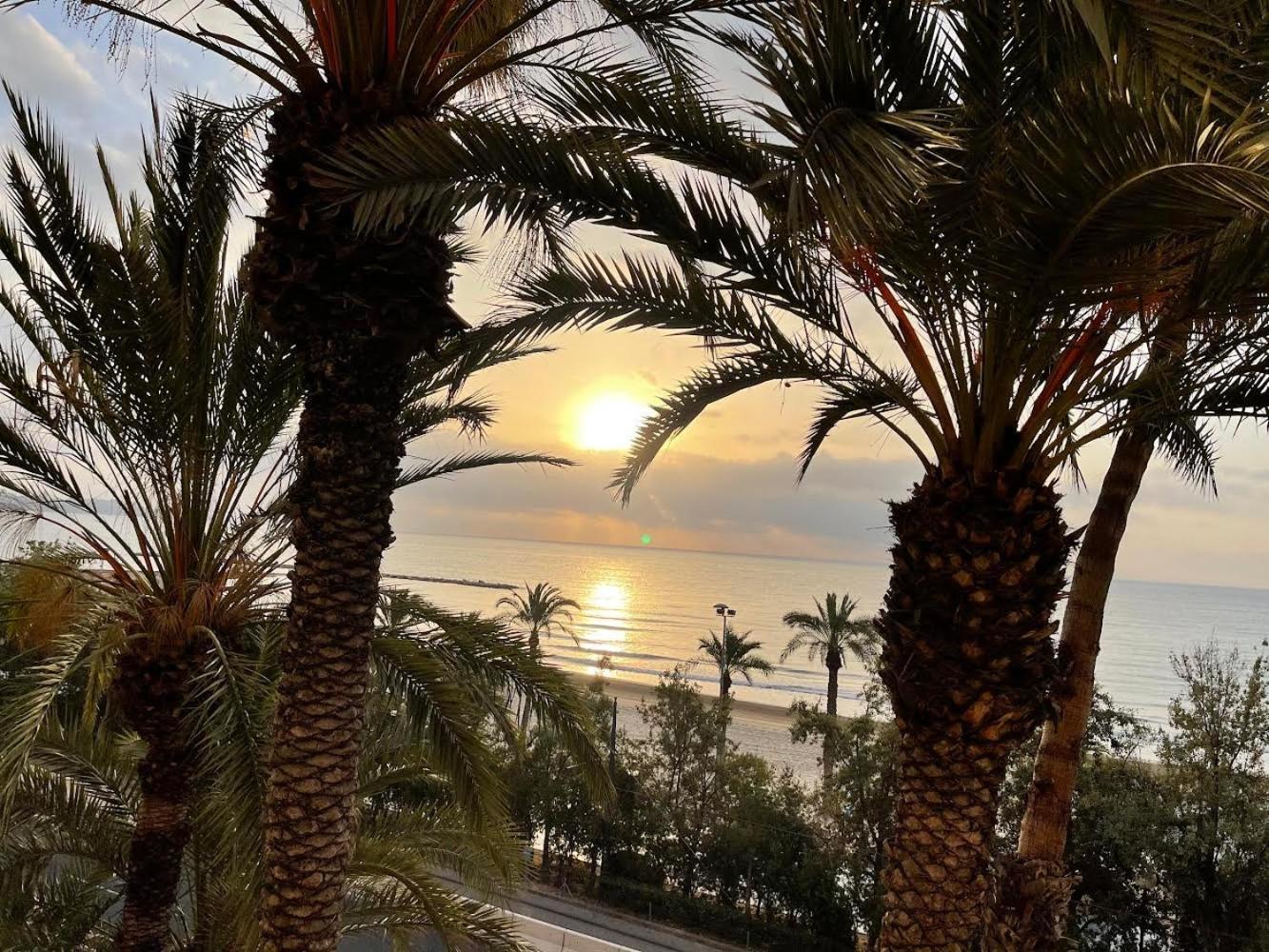 Gran Atico Con Terraza En El Centro De Alicante Buitenkant foto
